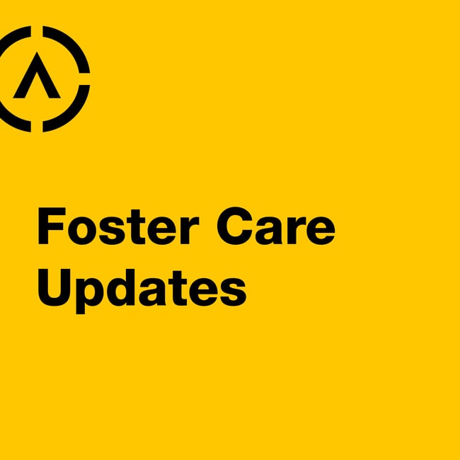 Foster care updates - May 2026