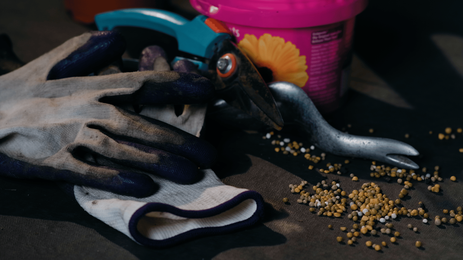 Candid Conversations Dr Ian McCracken Allambi Care