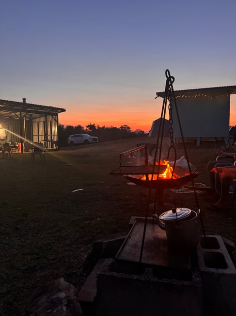 Northern NSW updates – November 2025