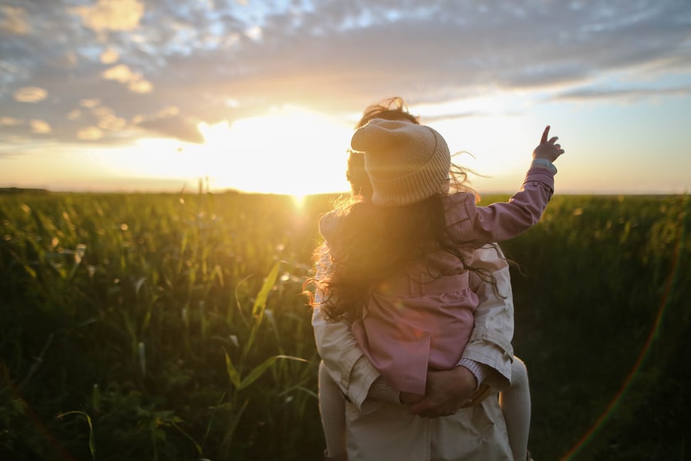 Foster Care November & December Update