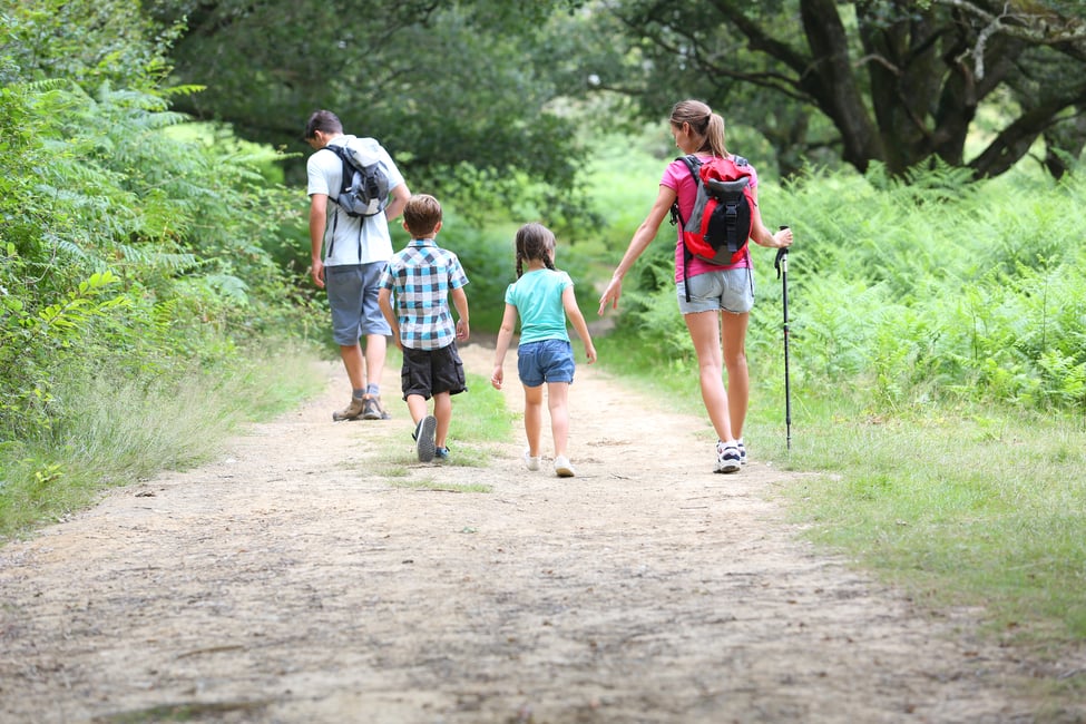 Foster Care Update